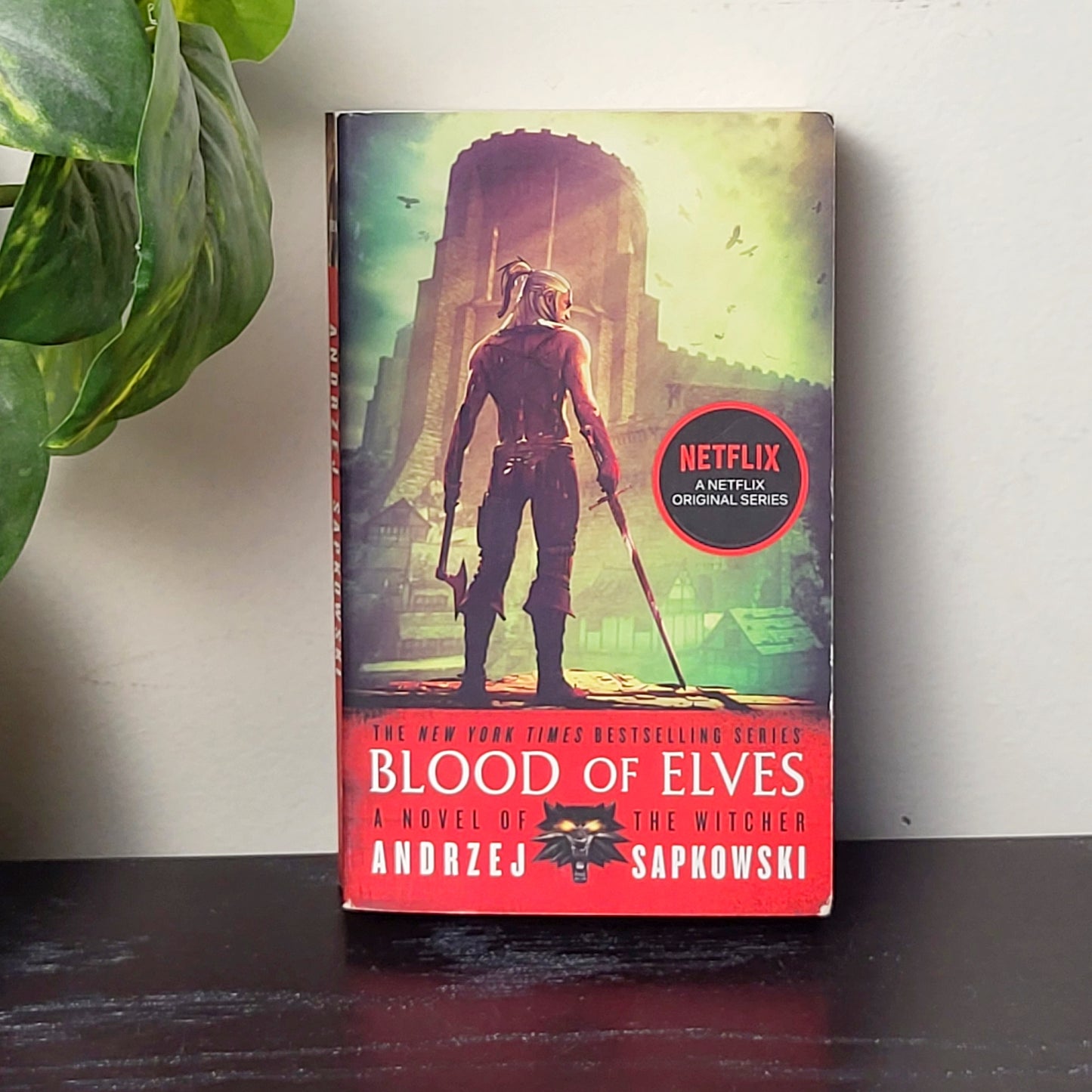 MFAIR1 - Blood of Elves. Soft cover fantasy novel. NO SHIPPING