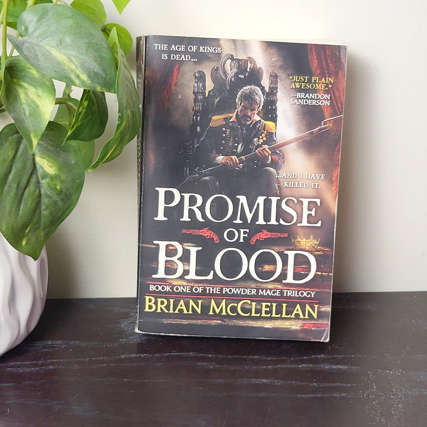 MFAIR - The Promise of Blood. Book 1 of the Powder Mage Trilogy. NO SHIPPING