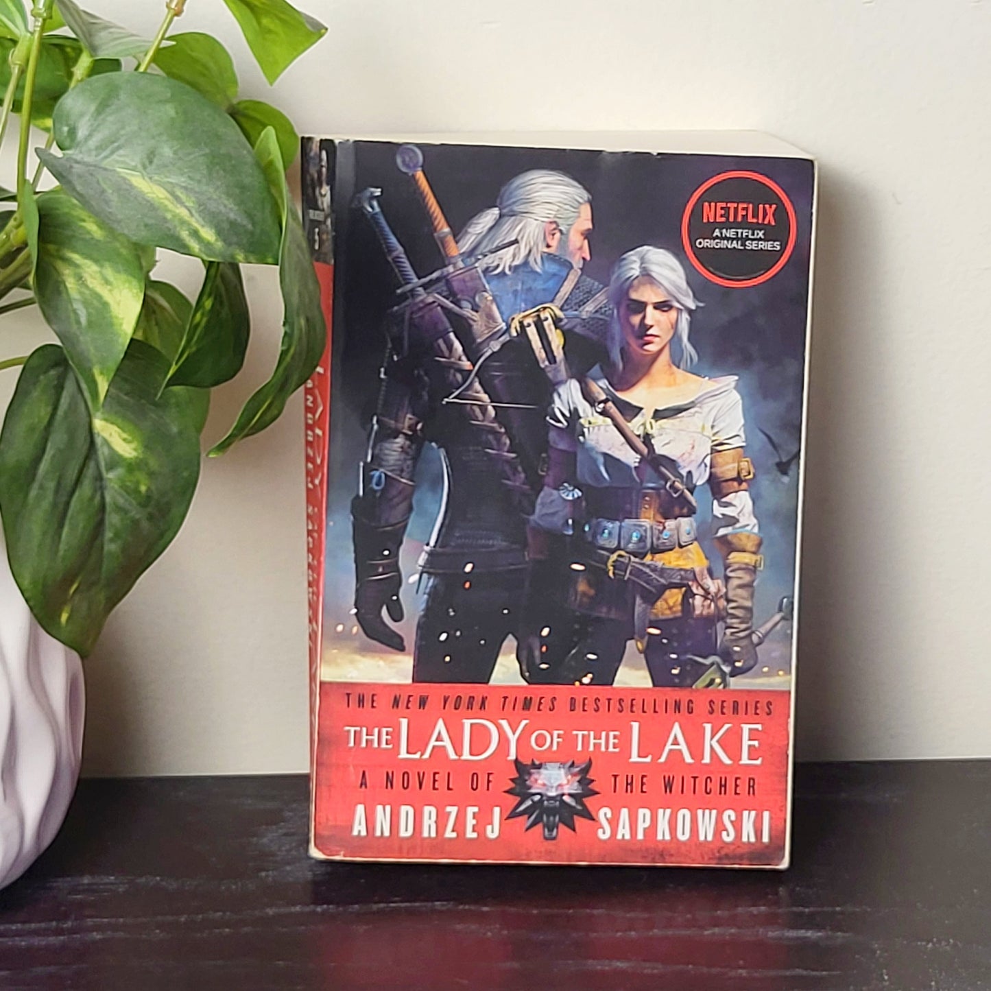 MFAIR1 - The Lady of the Lake. Soft cover novel.  NO SHIPPING