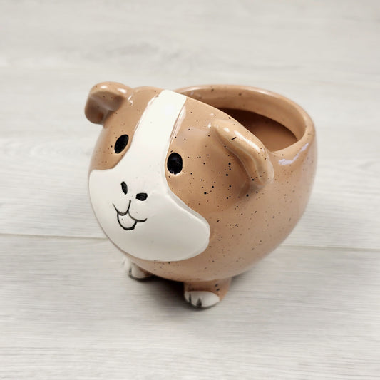JJON1 - Guinea pig 2 inch planter pot (sorry, no shipping)