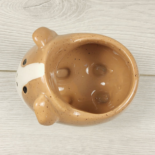 JJON1 - Guinea pig 2 inch planter pot (sorry, no shipping)