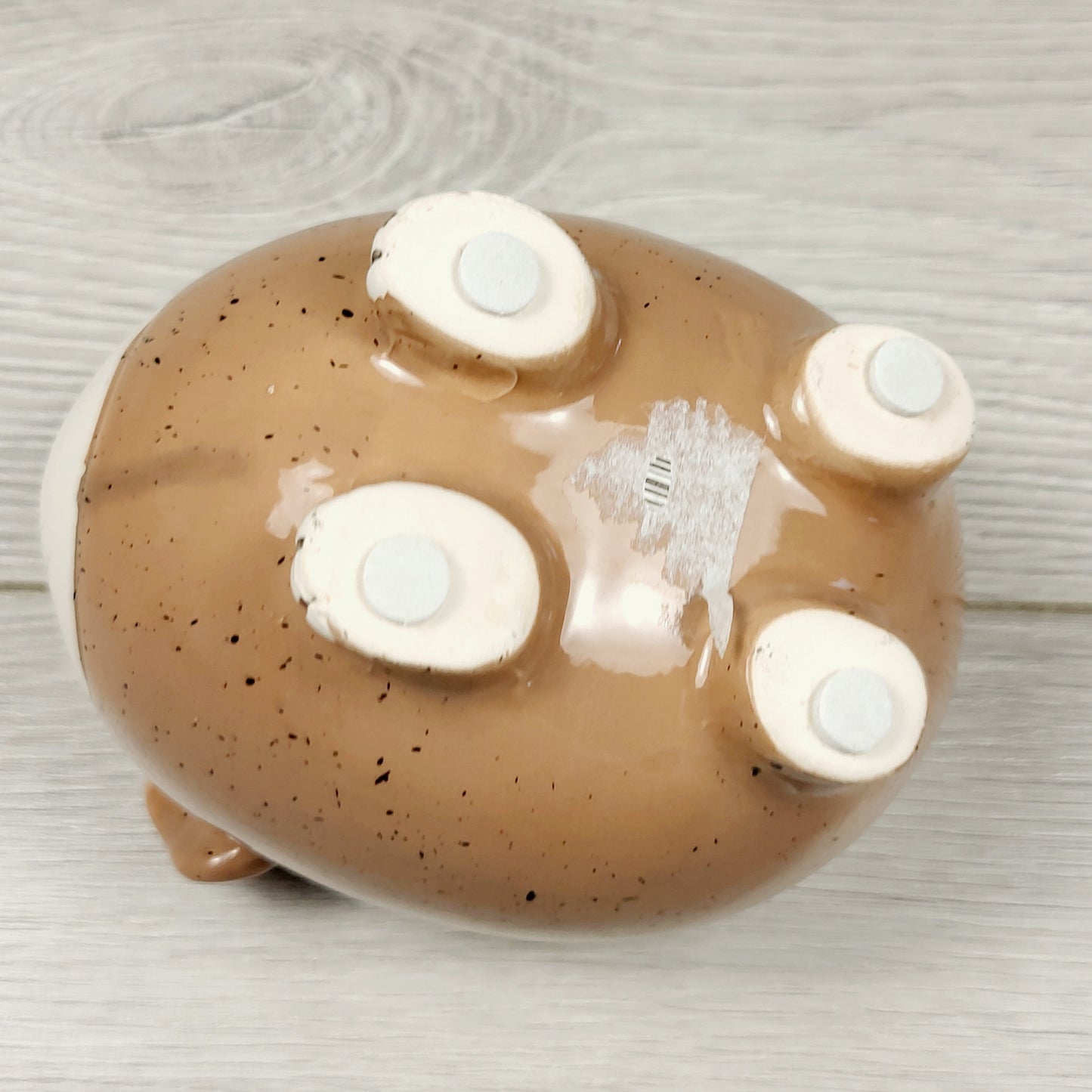 JJON1 - Guinea pig 2 inch planter pot (sorry, no shipping)