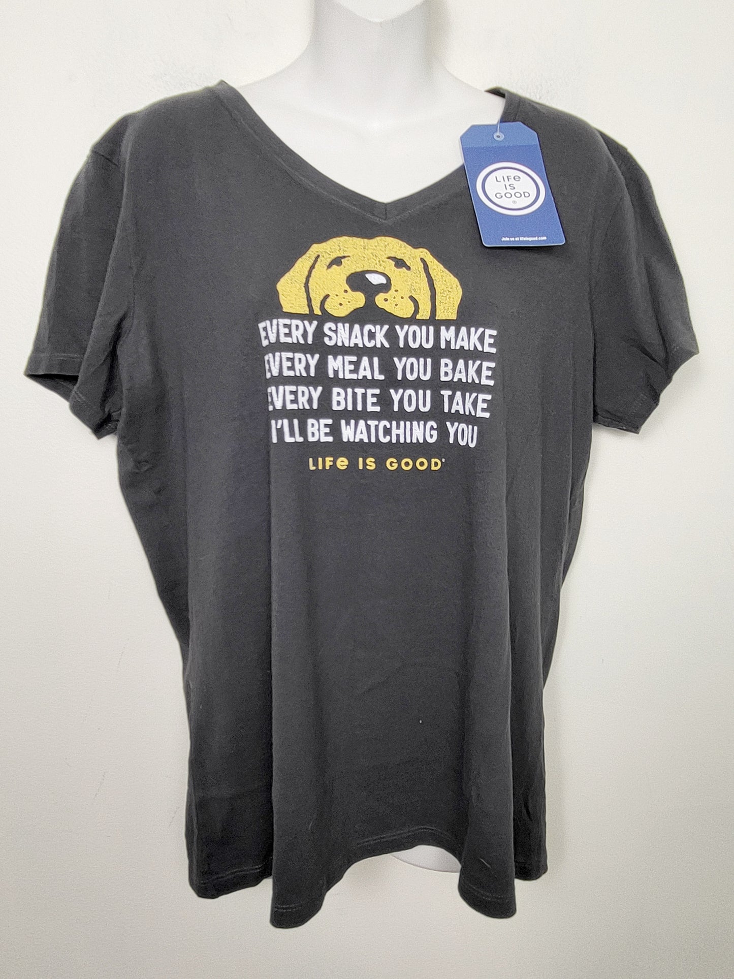 JJON2 - NEW - Life is Good grey v-neck "Crusher" tee with dog. Size large