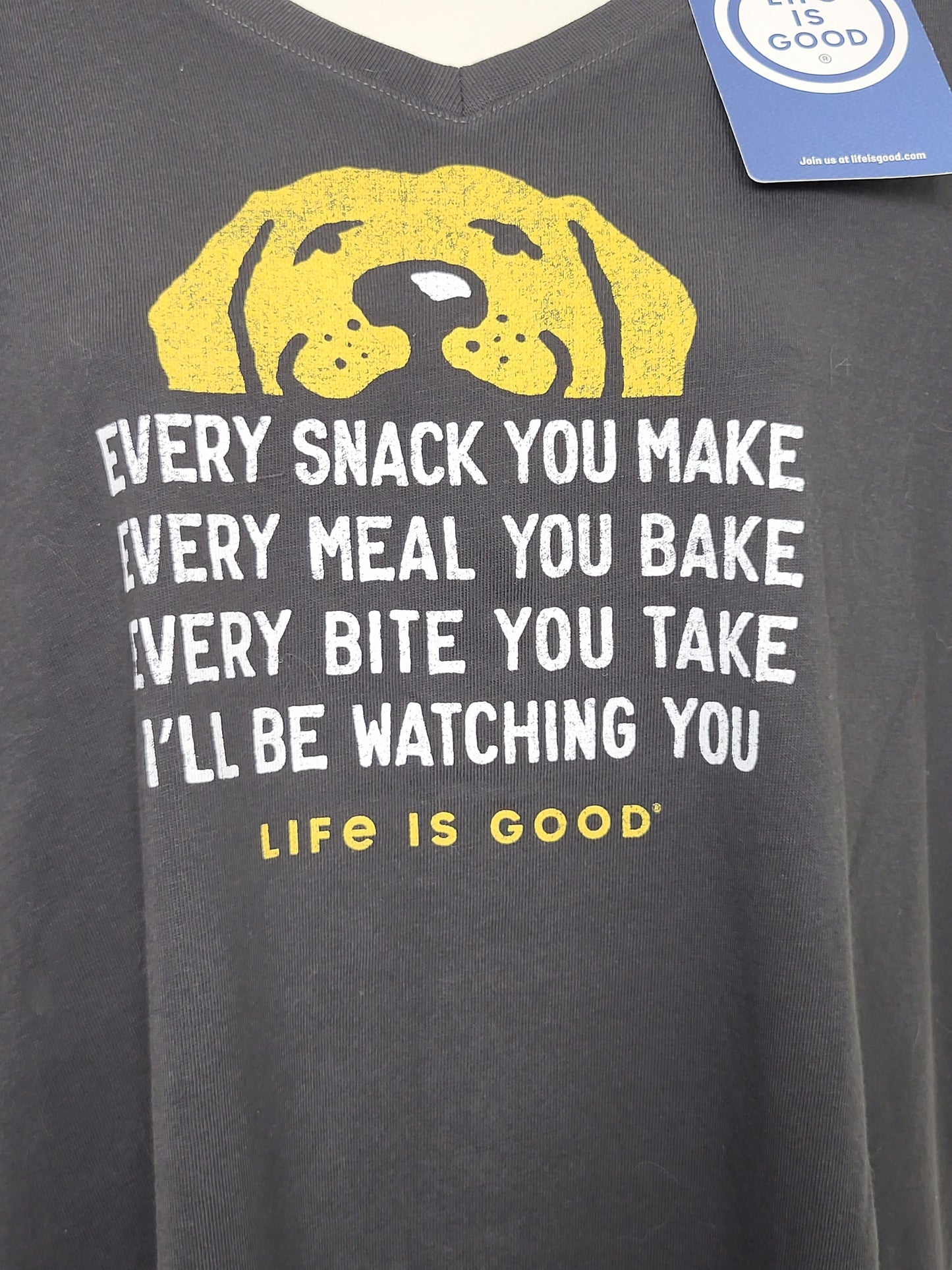 JJON2 - NEW - Life is Good grey v-neck "Crusher" tee with dog. Size large