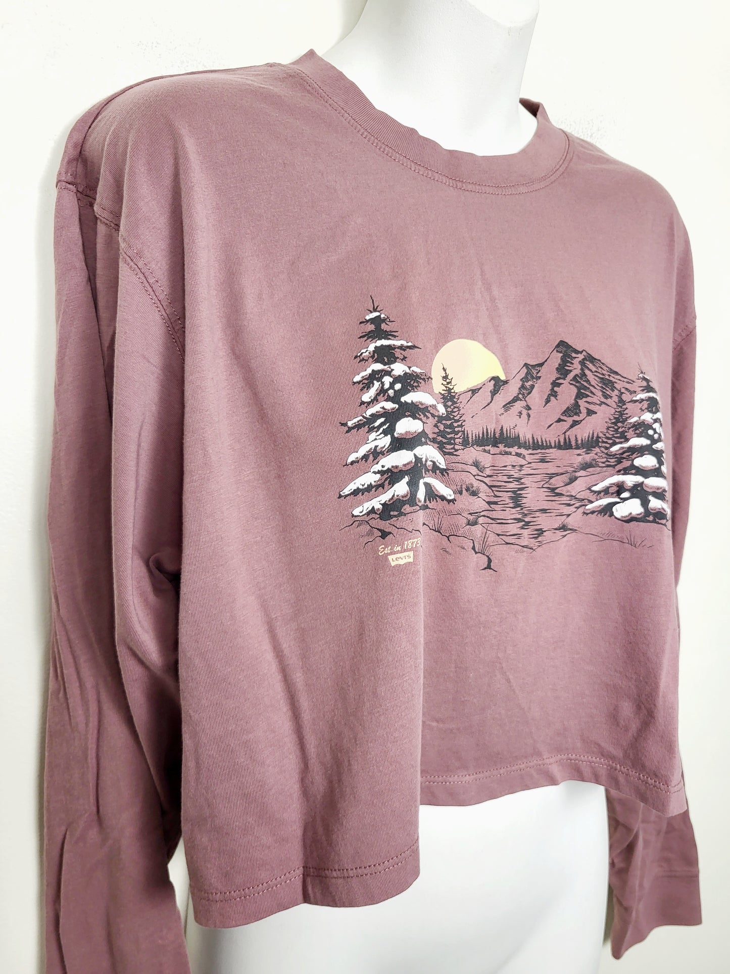 AGLL2 - Levi's cropped long sleeved top with mountain scene. Size medium