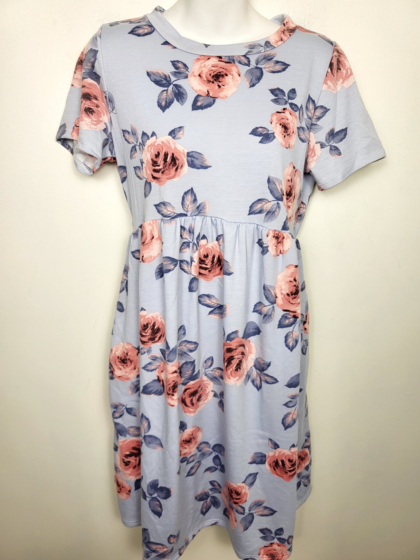 NEW - La Clef blue floral print A-line dress. Size large