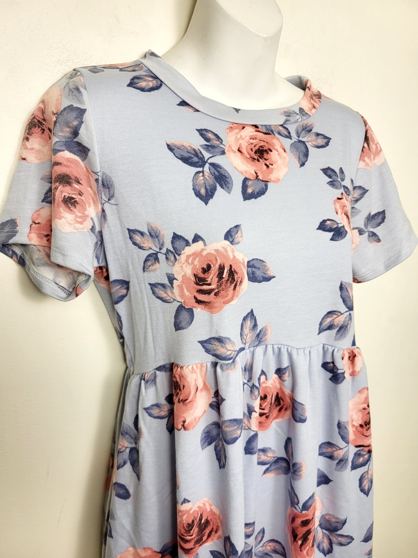 NEW - La Clef blue floral print A-line dress. Size large