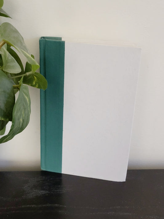 Shampoo Planet. Hardcover Douglas Coupland novel (sorry, no shipping)