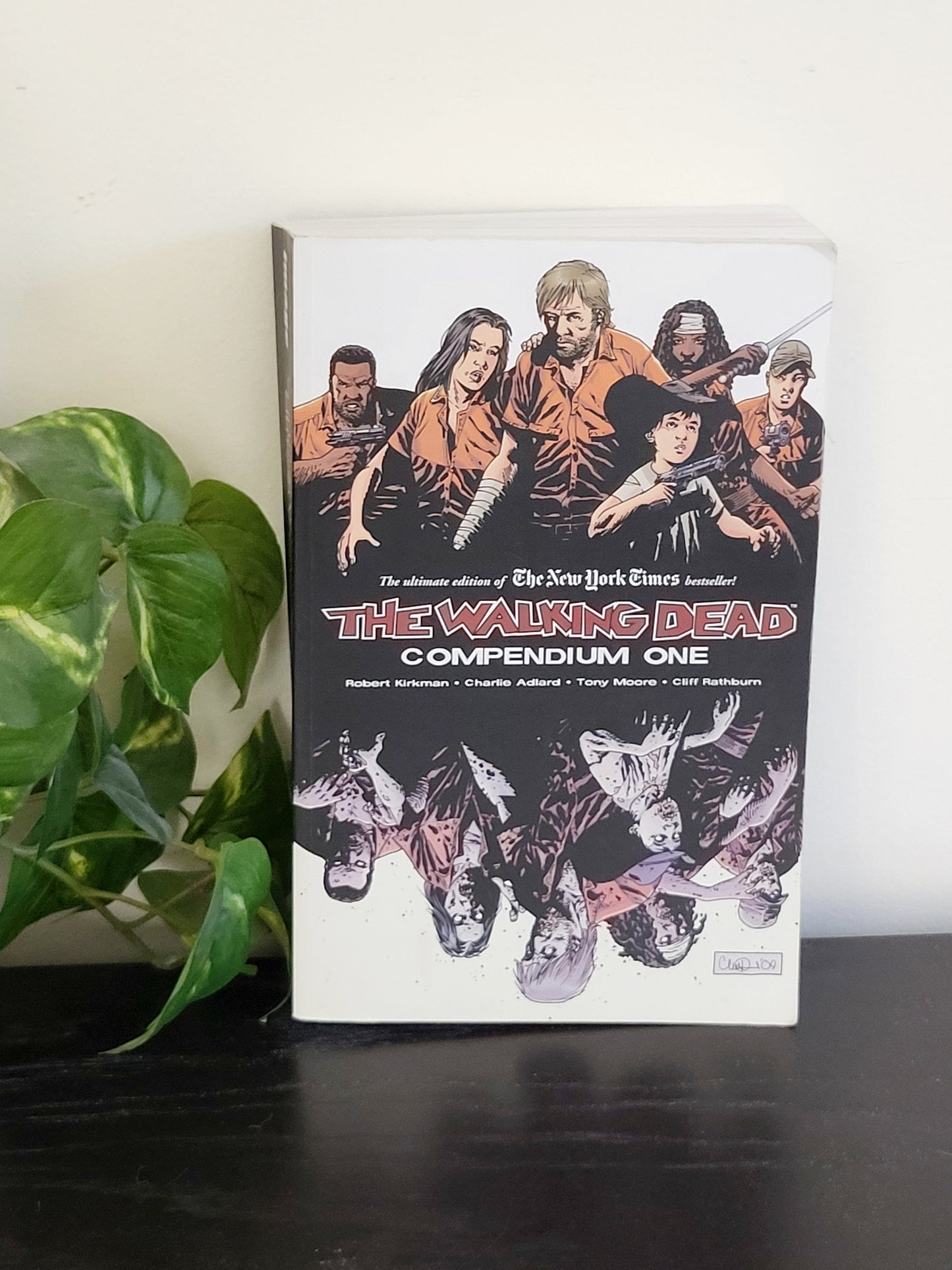The Walking Dead: Compendium One.  Large soft cover graphic novel (sorry, no shipping)