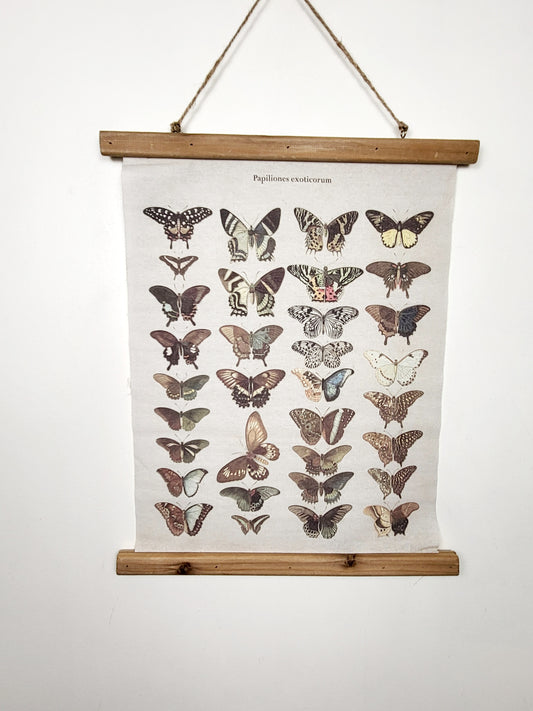 Primitives by Kathy "Papiliones Exoticorum" Butterfly Scroll