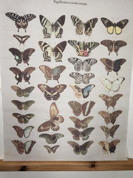 Primitives by Kathy "Papiliones Exoticorum" Butterfly Scroll