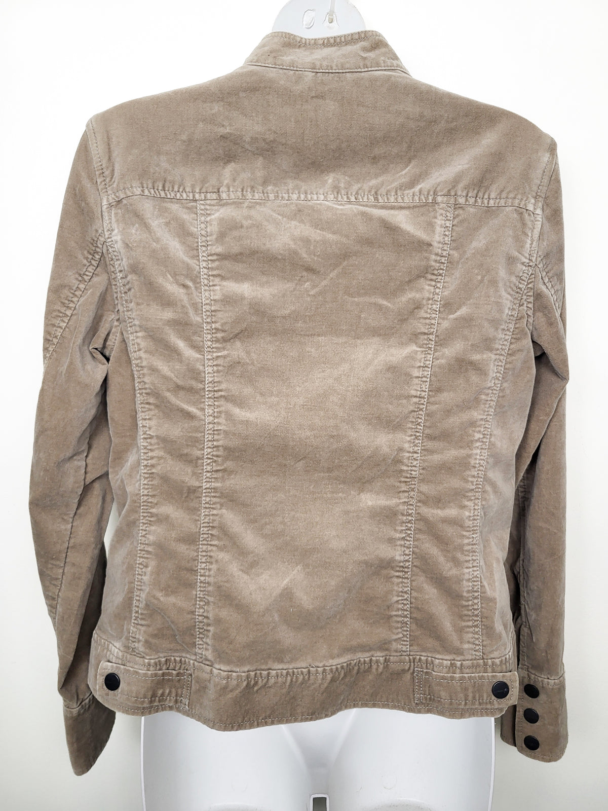 Coldwater Creek Velour Moto Mock-Neck Jacket | Size 8